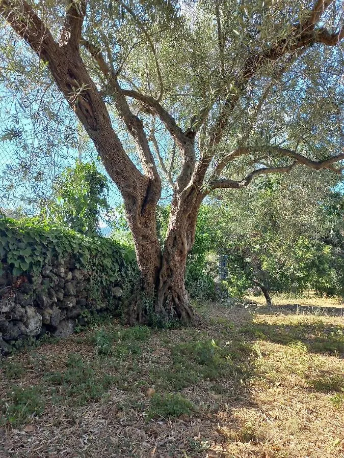 La Casa Di Bacco - Etna Country House - Affitto Breve Castiglione De Sicilia Italie