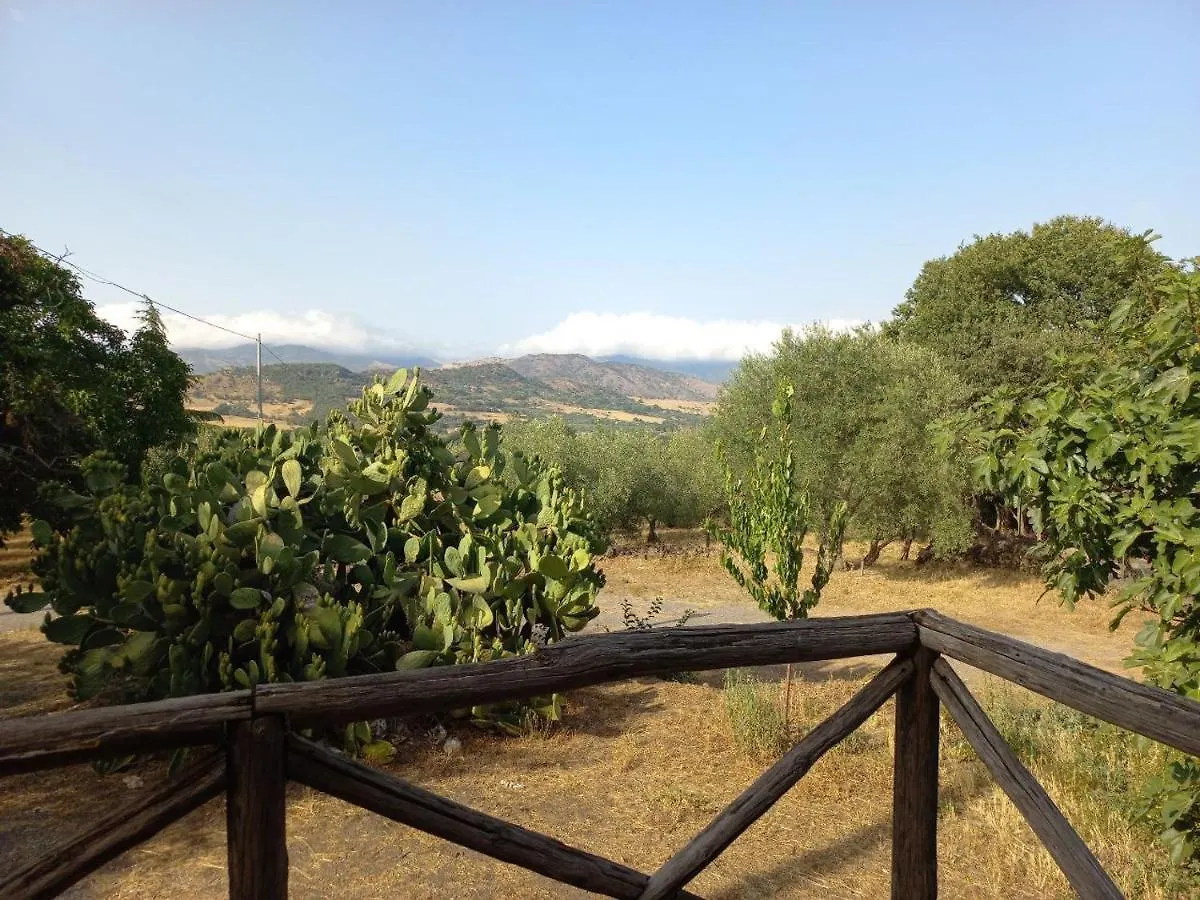 La Casa Di Bacco - Etna Country House - Affitto Breve Castiglione De Sicilia
