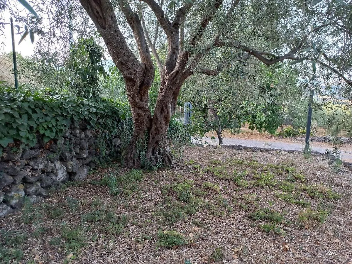 La Casa Di Bacco - Etna Country House - Affitto Breve Castiglione De Sicilia Hébergement de vacances