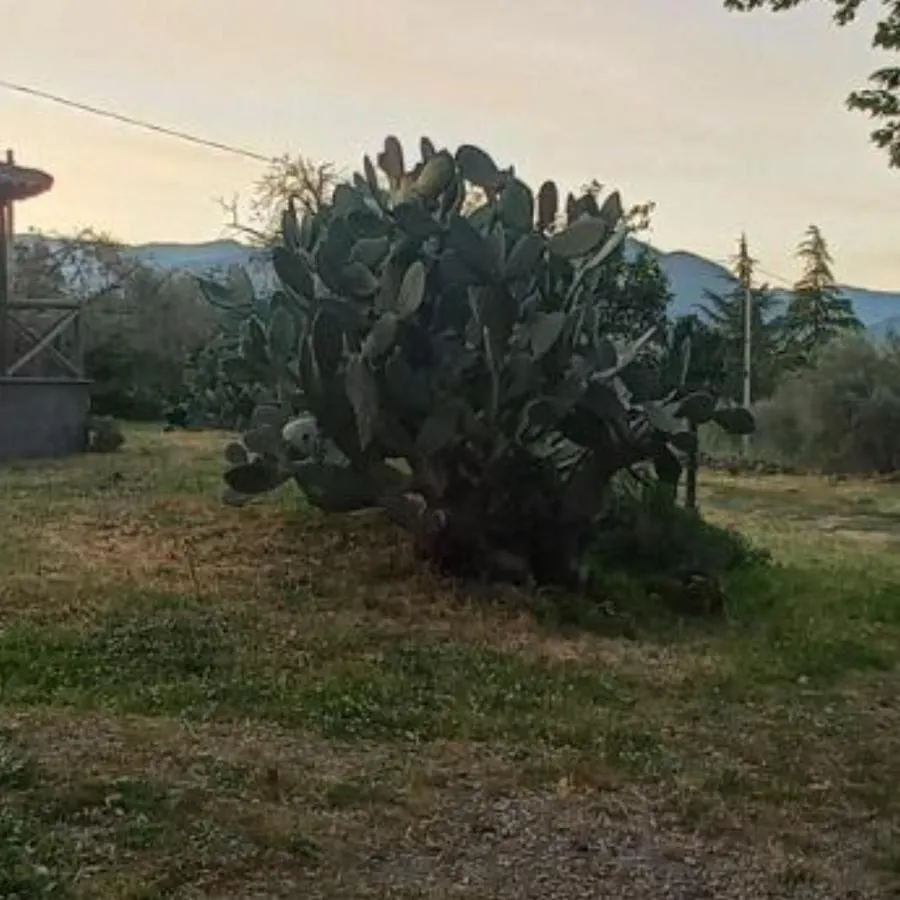La Casa Di Bacco - Etna Country House - Affitto Breve Castiglione De Sicilia