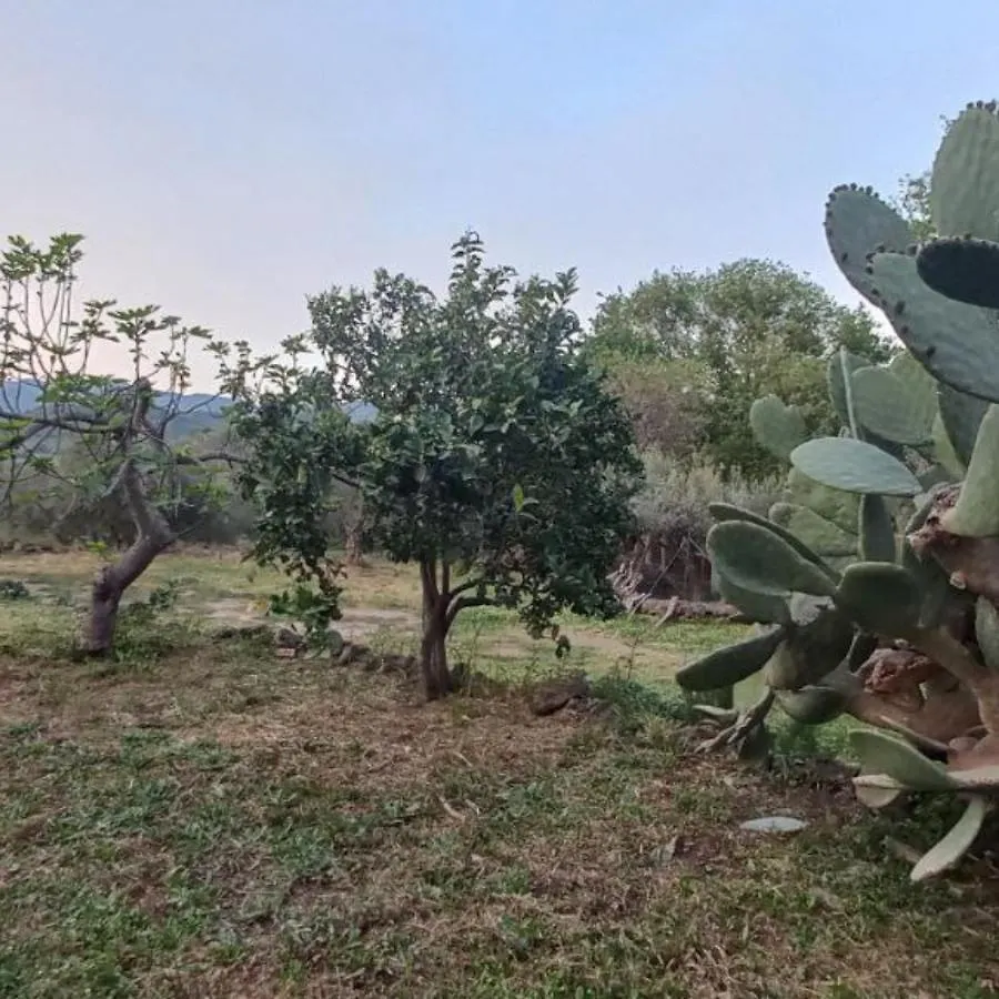La Casa Di Bacco - Etna Country House - Affitto Breve Castiglione De Sicilia