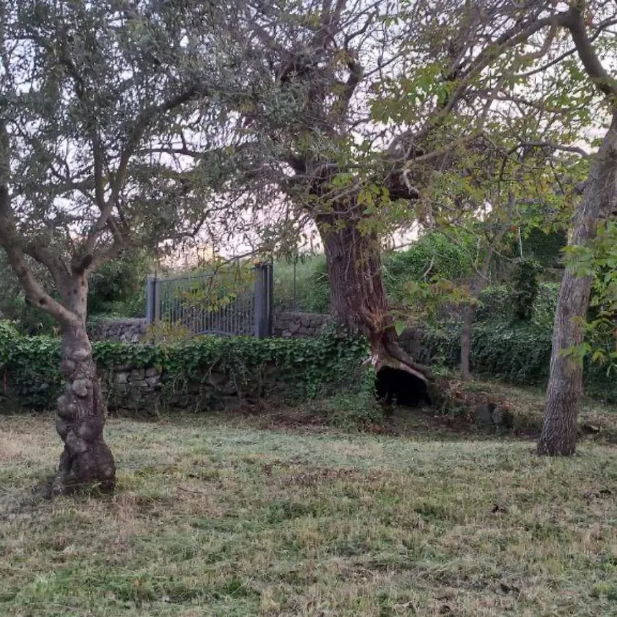 La Casa Di Bacco - Etna Country House - Affitto Breve Castiglione De Sicilia 0*,  Italie