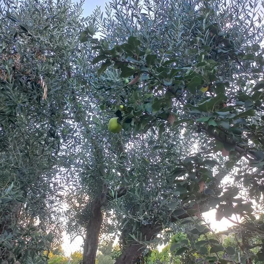 Hébergement de vacances La Casa Di Bacco - Etna Country House - Affitto Breve Castiglione De Sicilia Italie