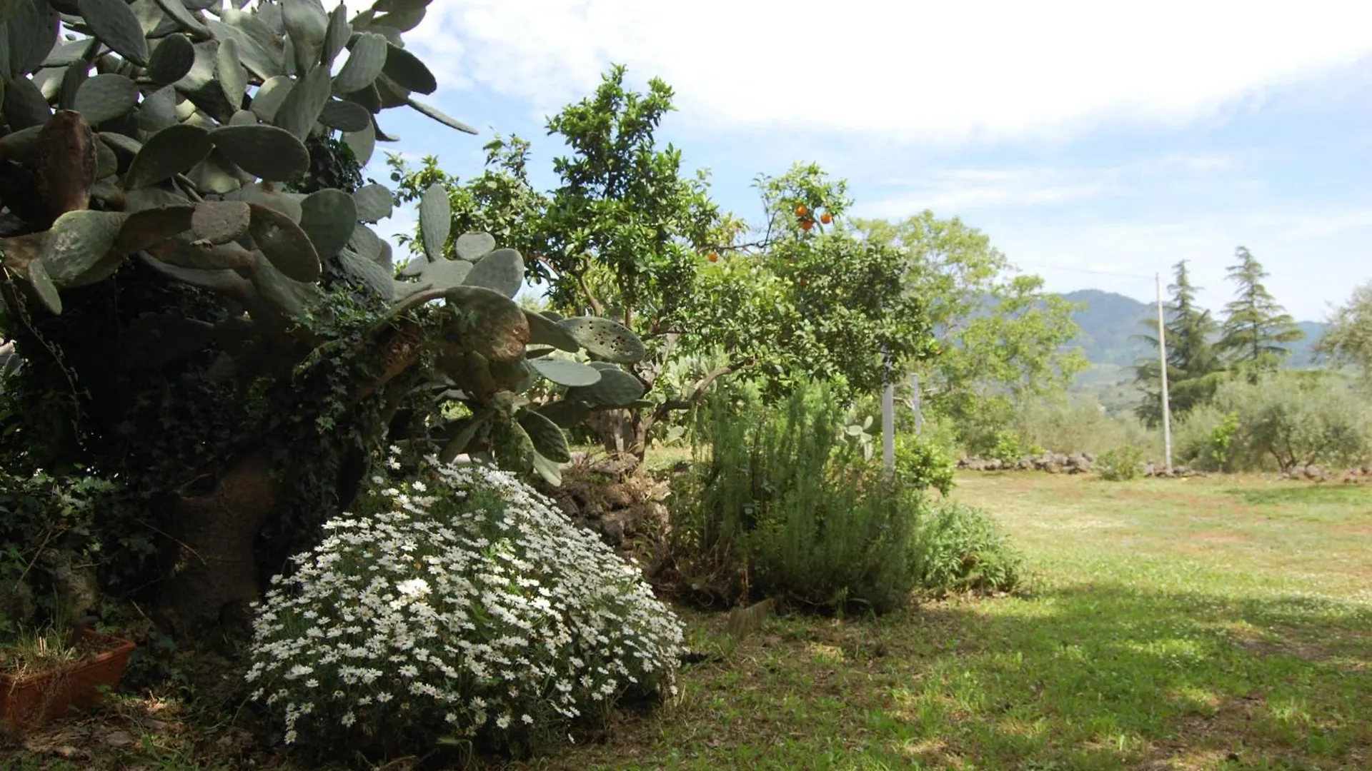 Hébergement de vacances La Casa Di Bacco - Etna Country House - Affitto Breve Castiglione De Sicilia